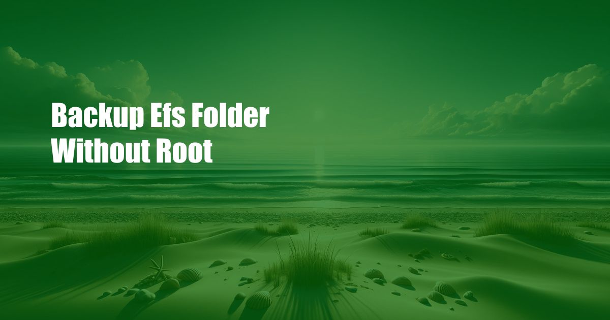 Backup Efs Folder Without Root