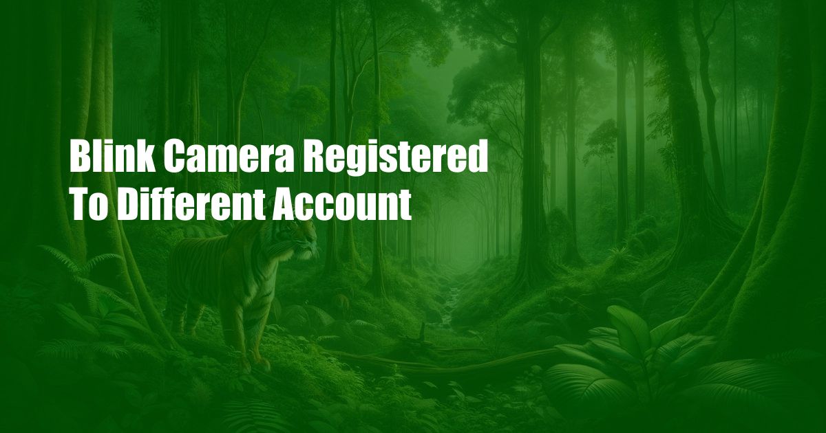 Blink Camera Registered To Different Account