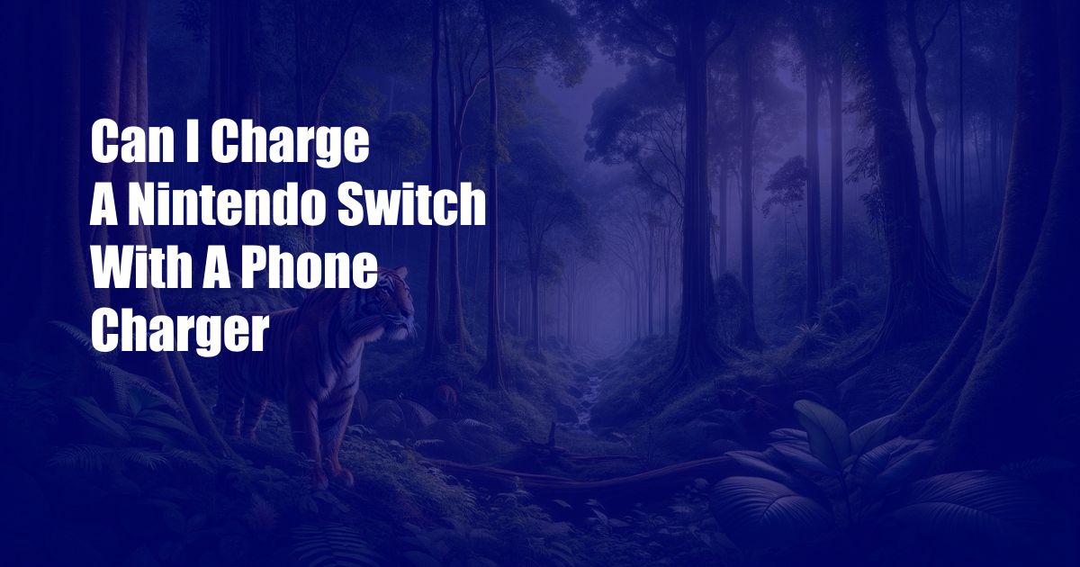 Can I Charge A Nintendo Switch With A Phone Charger