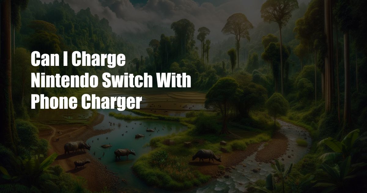 Can I Charge Nintendo Switch With Phone Charger