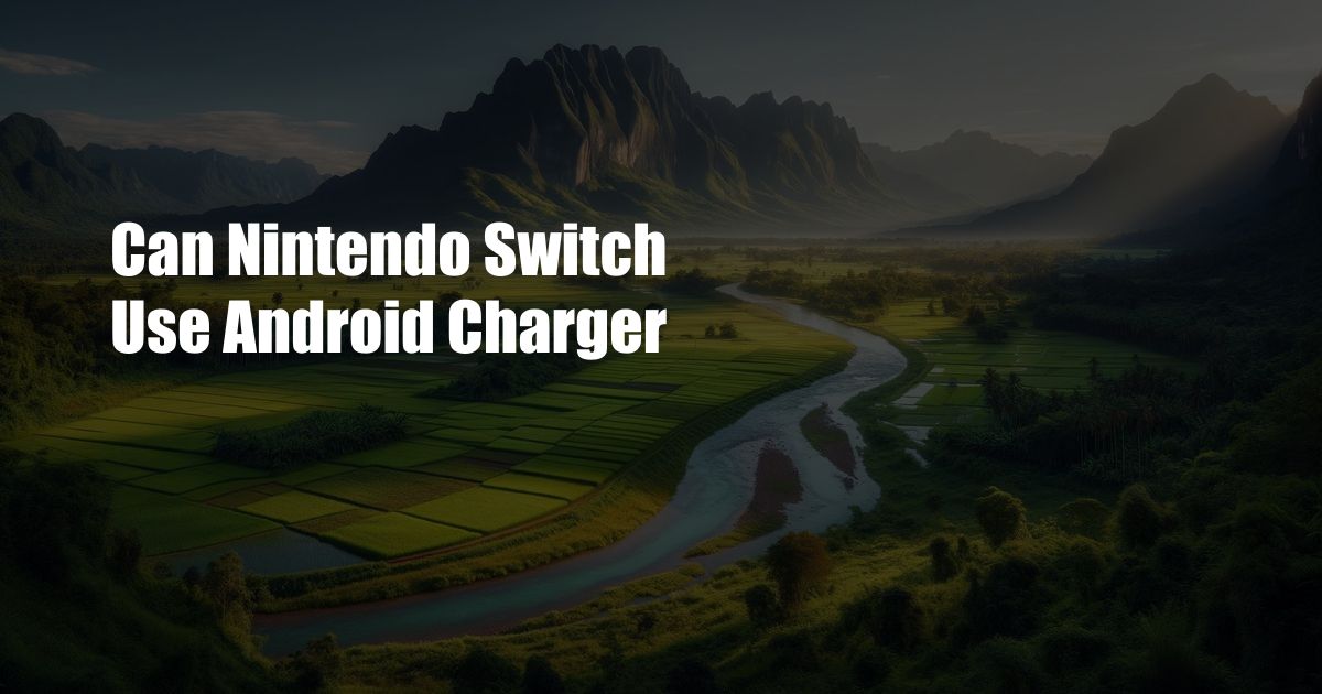 Can Nintendo Switch Use Android Charger