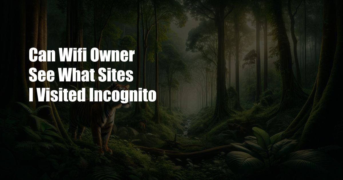 Can Wifi Owner See What Sites I Visited Incognito