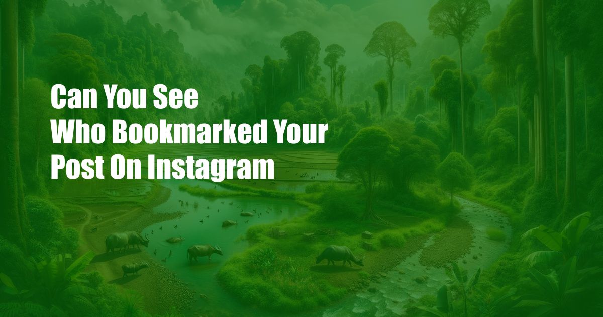 Can You See Who Bookmarked Your Post On Instagram