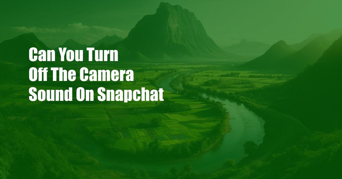 Can You Turn Off The Camera Sound On Snapchat