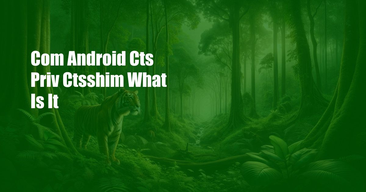 Com Android Cts Priv Ctsshim What Is It