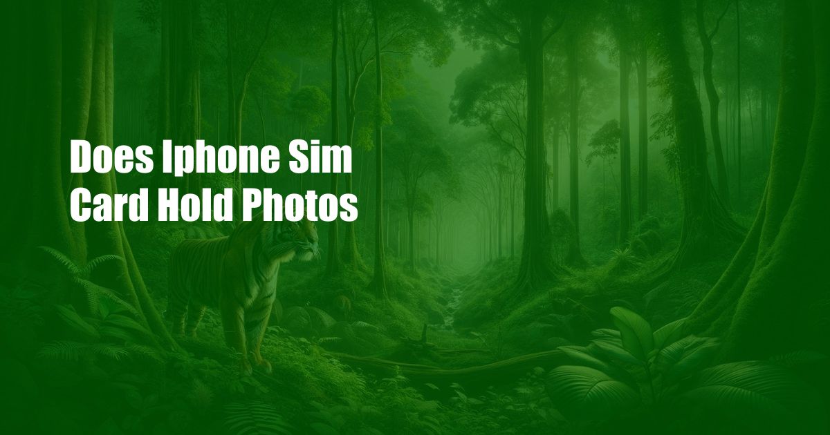 Does Iphone Sim Card Hold Photos