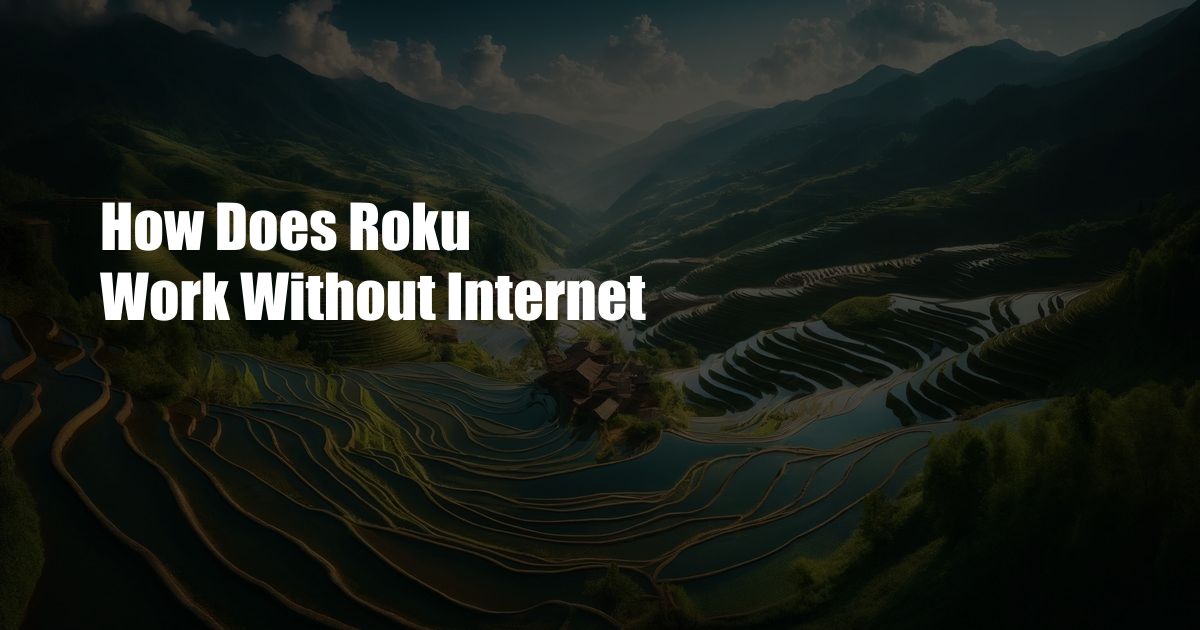 How Does Roku Work Without Internet