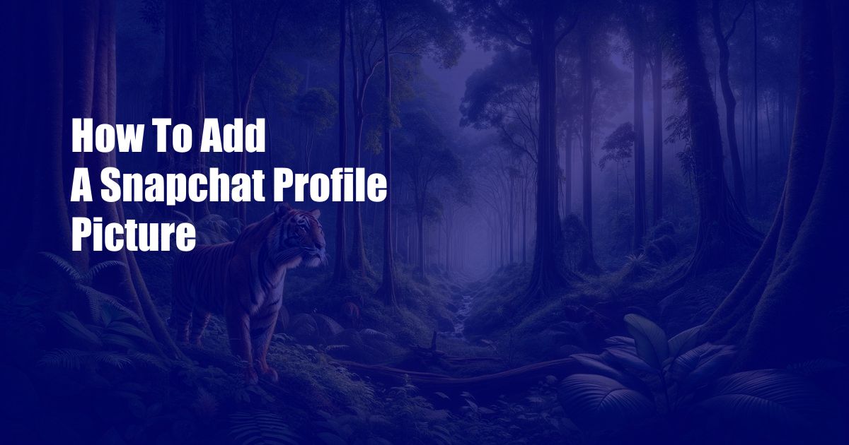 How To Add A Snapchat Profile Picture