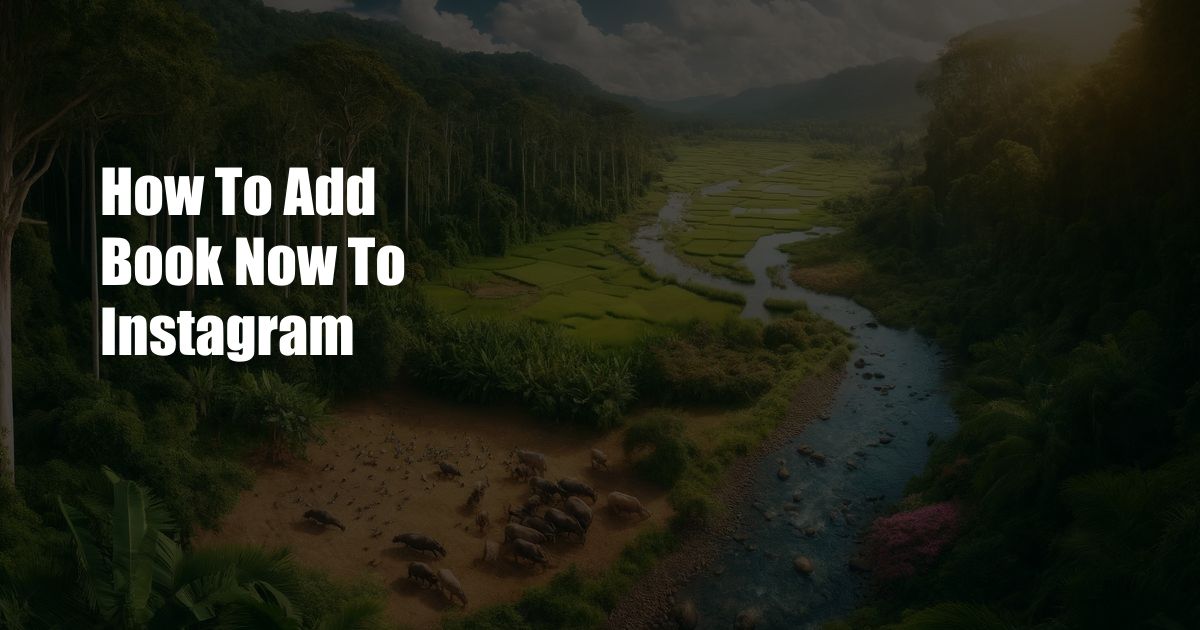 How To Add Book Now To Instagram