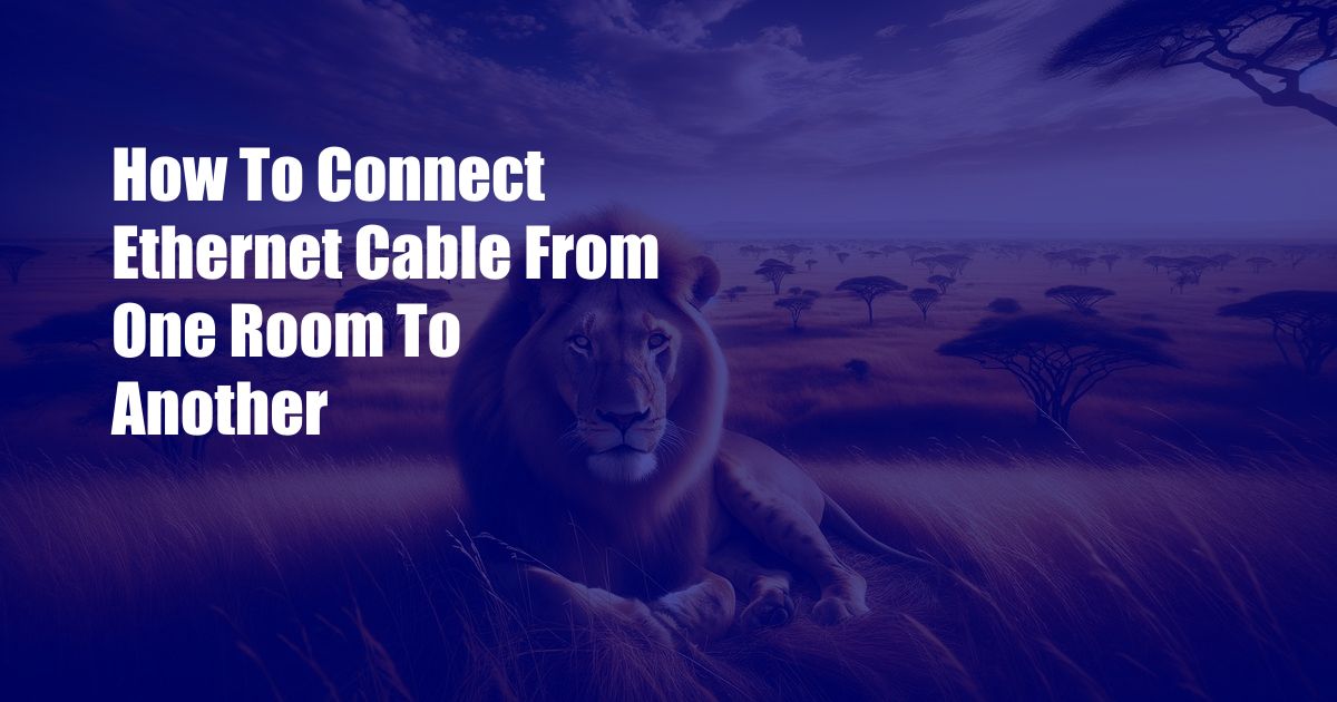 How To Connect Ethernet Cable From One Room To Another