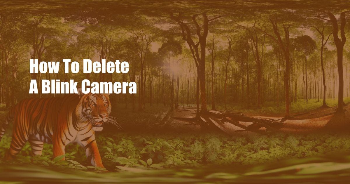 How To Delete A Blink Camera