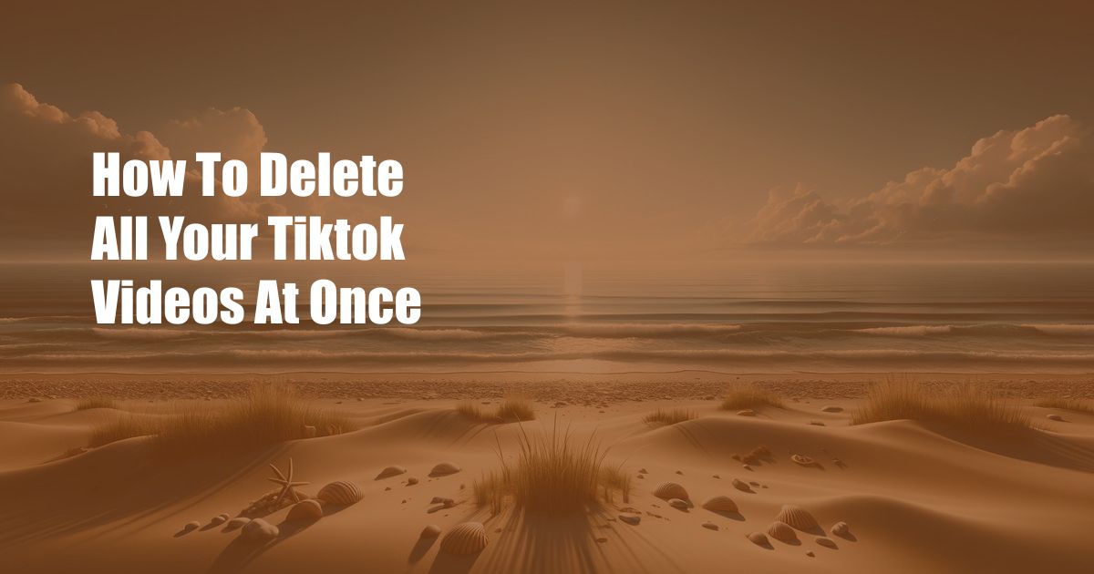 How To Delete All Your Tiktok Videos At Once