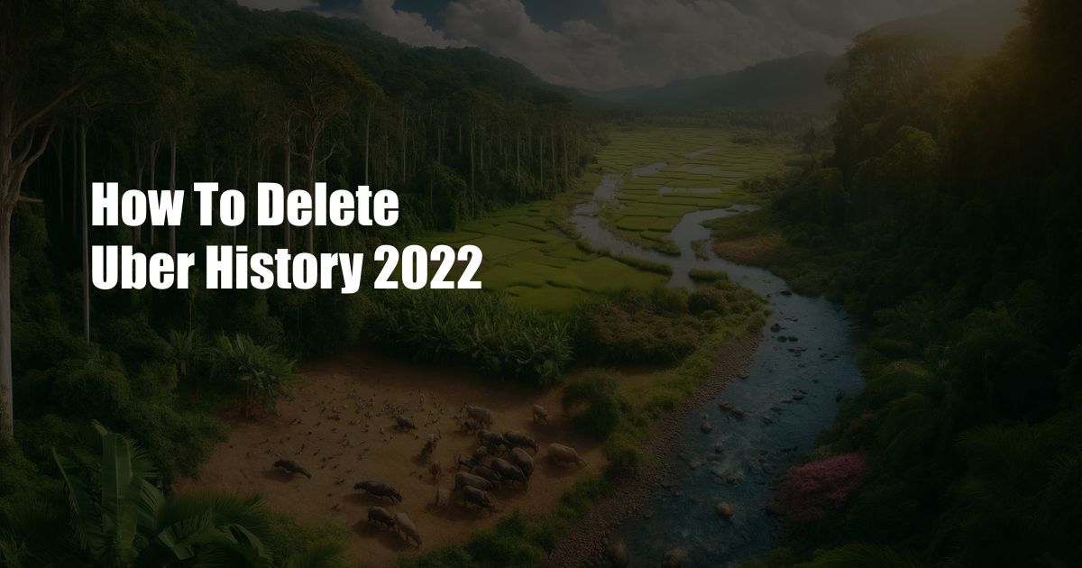 How To Delete Uber History 2022