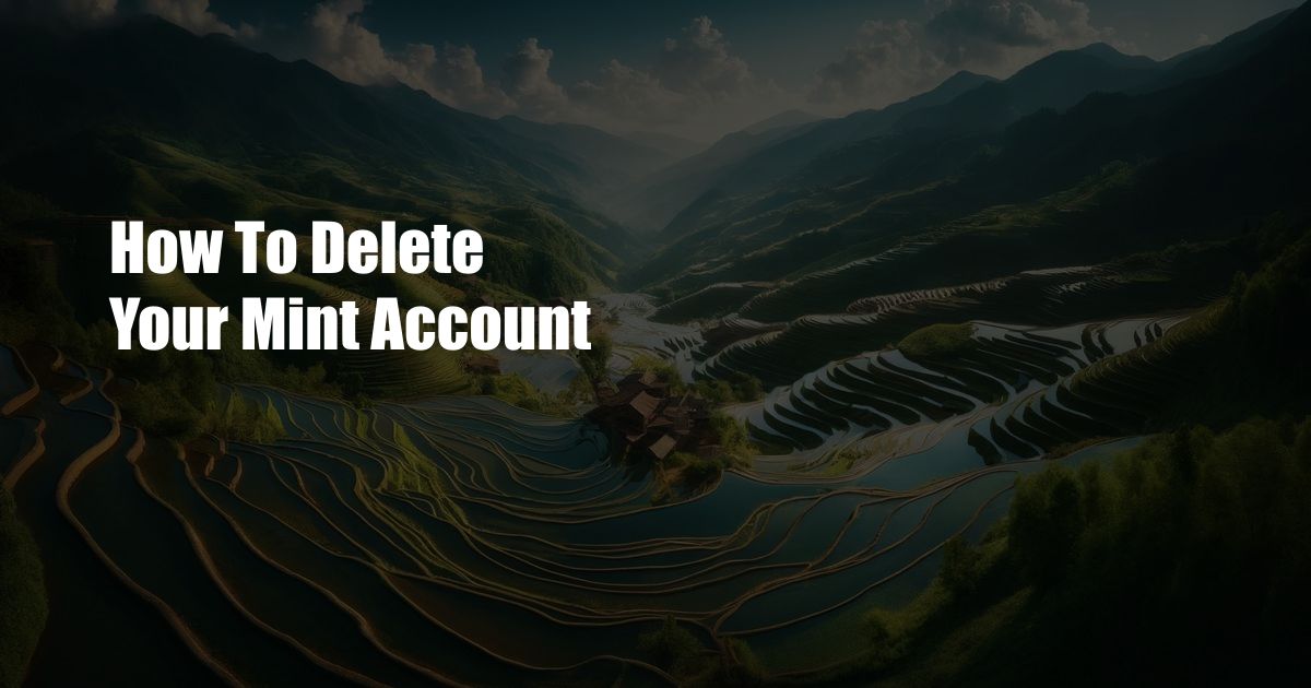 How To Delete Your Mint Account