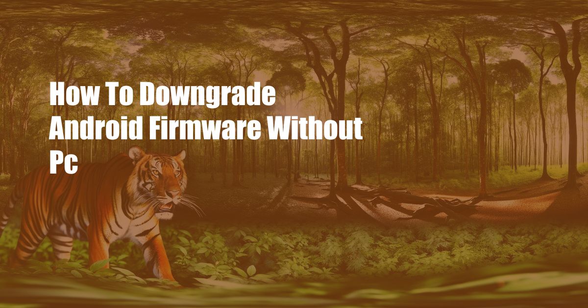 How To Downgrade Android Firmware Without Pc