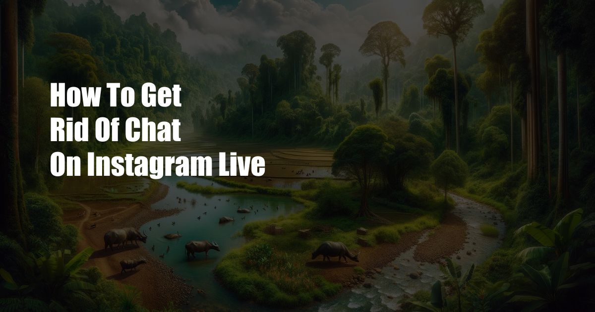 How To Get Rid Of Chat On Instagram Live