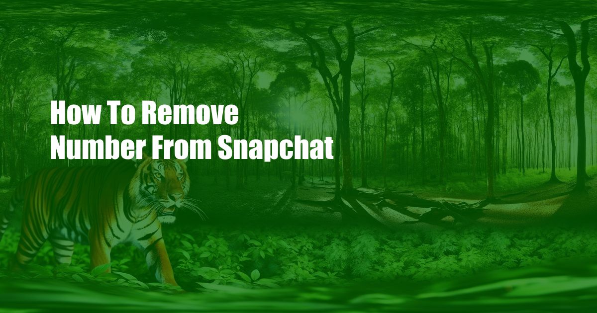 How To Remove Number From Snapchat