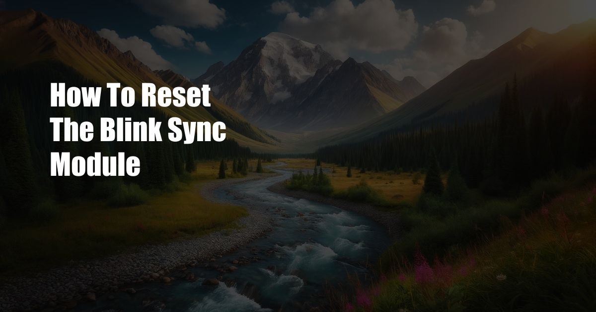 How To Reset The Blink Sync Module