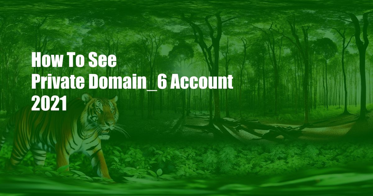 How To See Private Domain_6 Account 2021