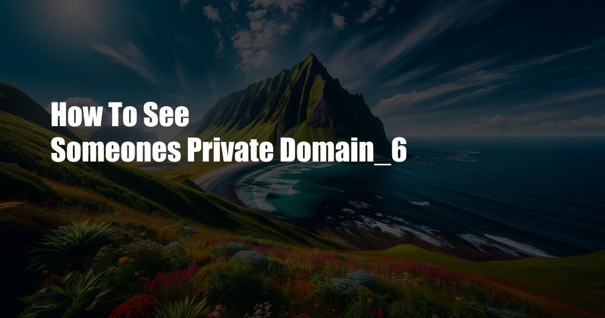 How To See Someones Private Domain_6