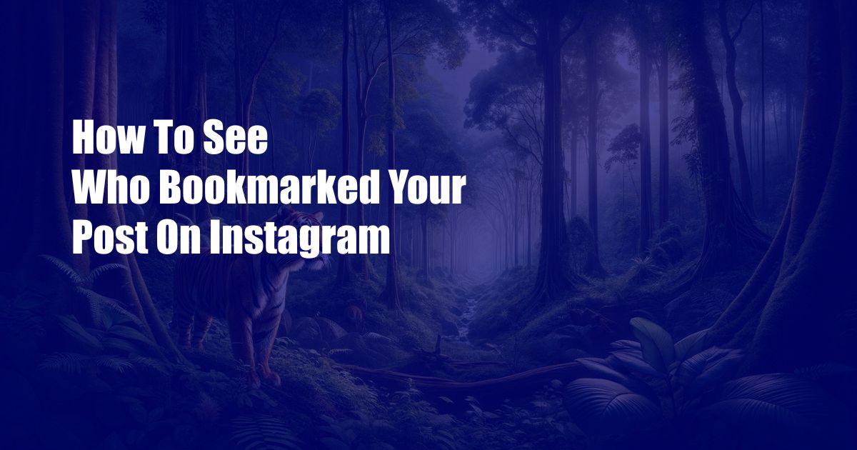 How To See Who Bookmarked Your Post On Instagram