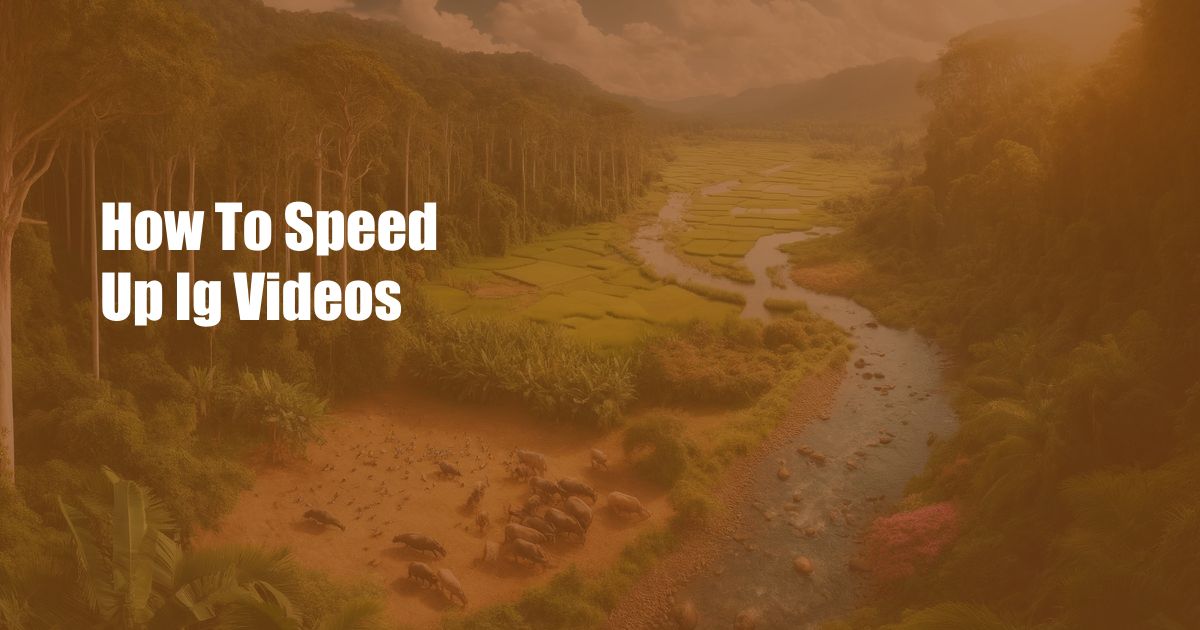 How To Speed Up Ig Videos