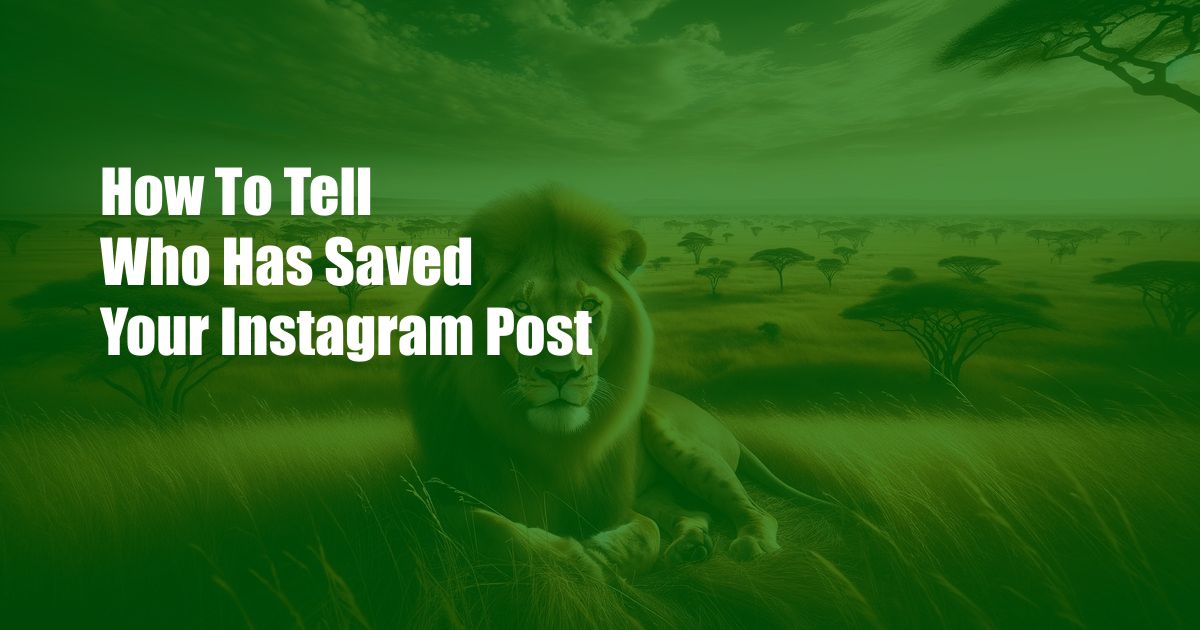 How To Tell Who Has Saved Your Instagram Post
