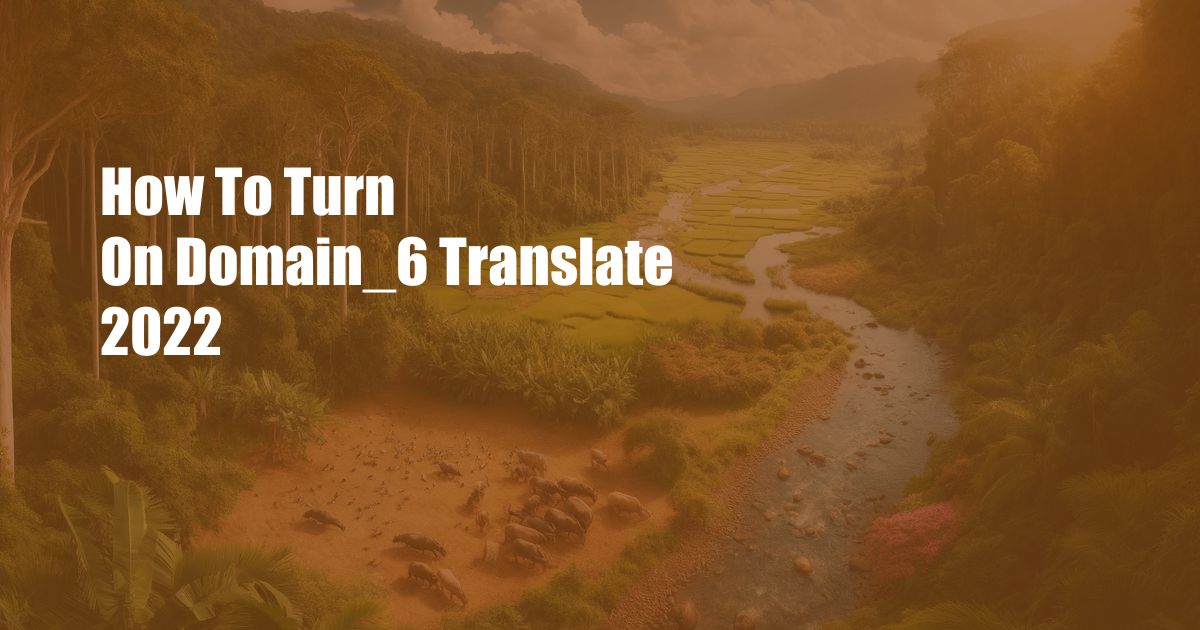 How To Turn On Domain_6 Translate 2022