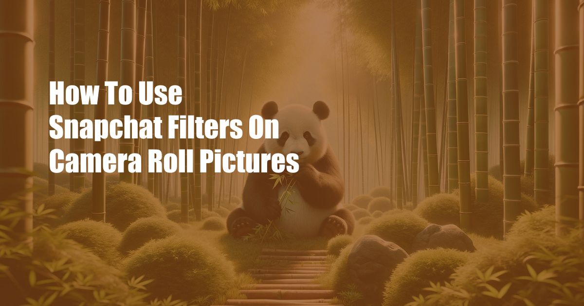 How To Use Snapchat Filters On Camera Roll Pictures