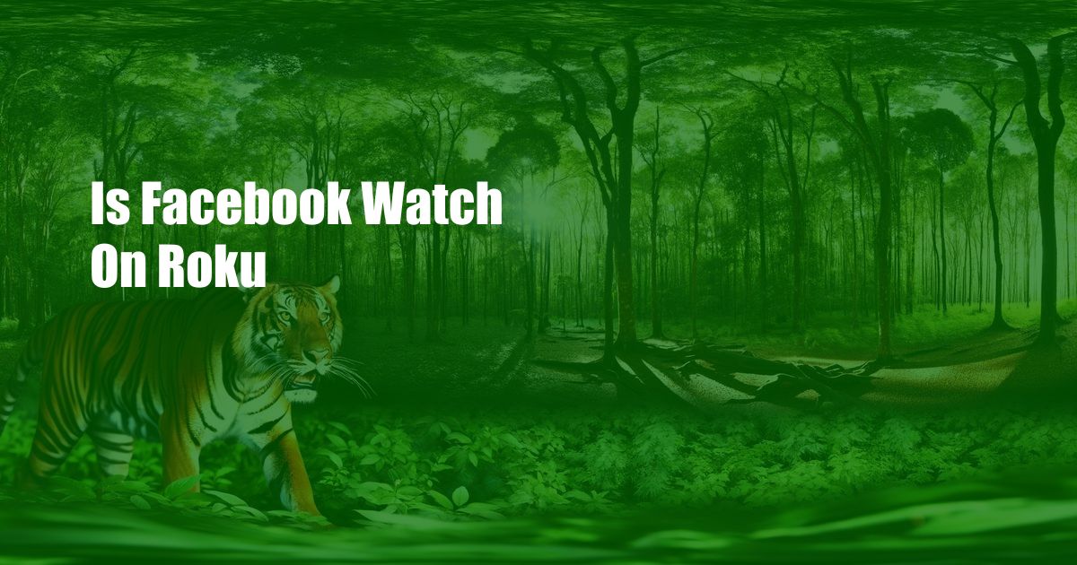 Is Facebook Watch On Roku