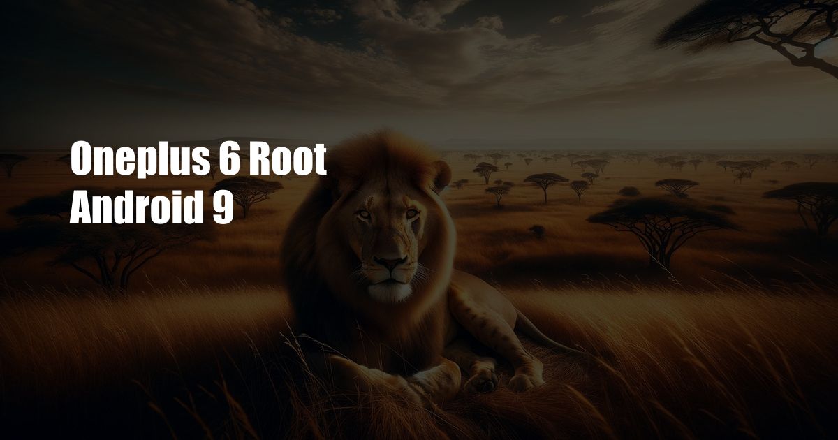 Oneplus 6 Root Android 9