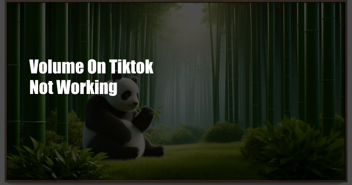 Volume On Tiktok Not Working