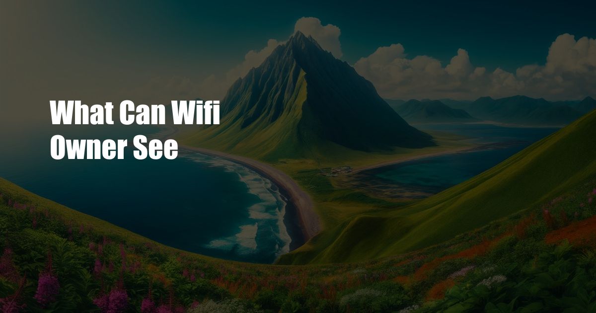 What Can Wifi Owner See