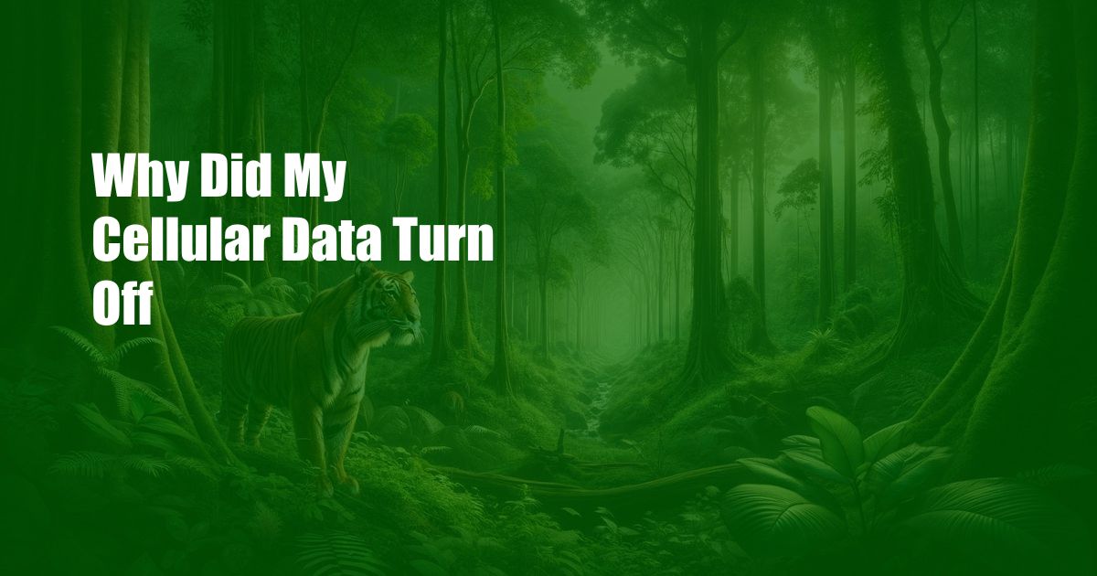 Why Did My Cellular Data Turn Off