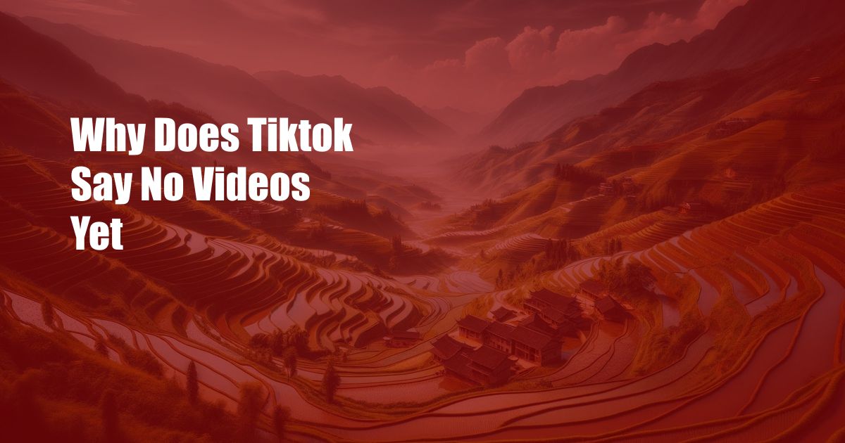 Why Does Tiktok Say No Videos Yet