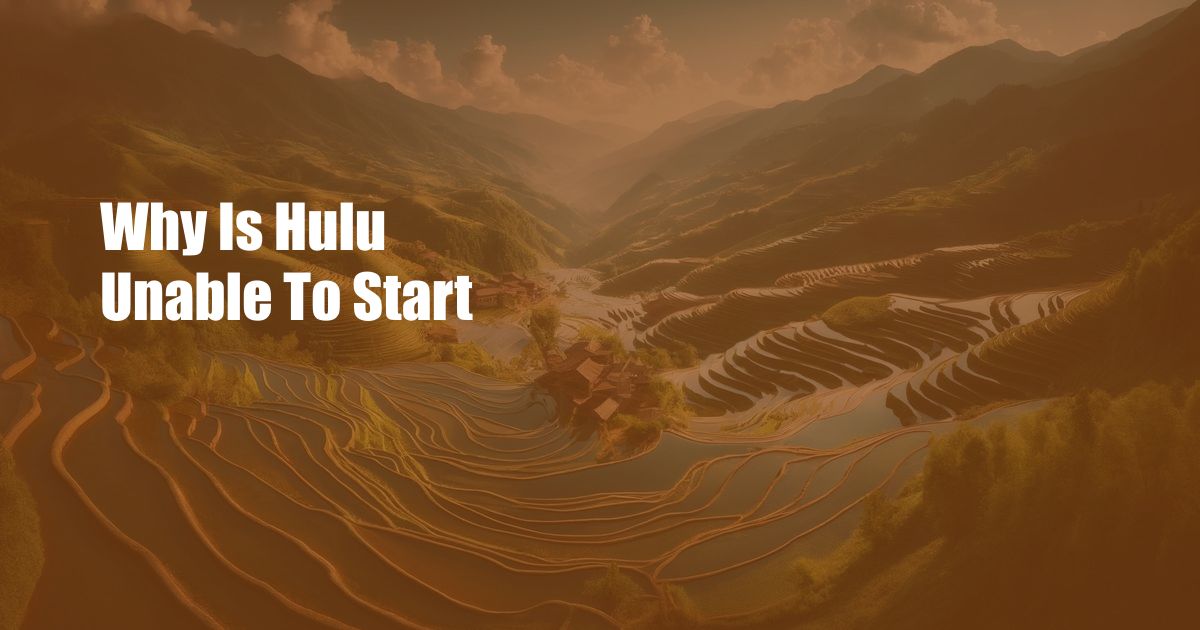 Why Is Hulu Unable To Start