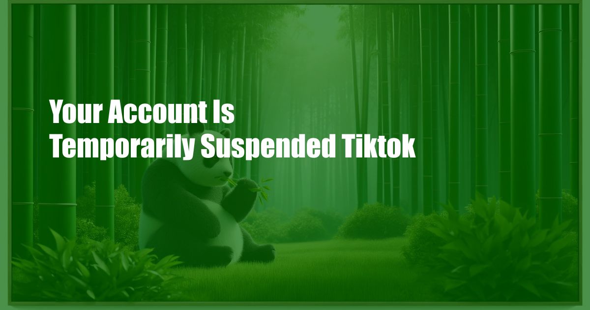 Your Account Is Temporarily Suspended Tiktok